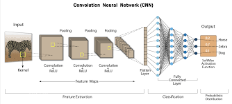 Image Classifier using CNN (Convolutional Neural Network) image 3